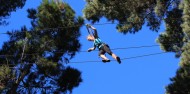 Adventure Park - Adrenalin Forest image 5