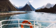 Milford Sound Boat Cruise - Pure Milford image 2