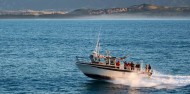 Fishing Trip - Kaikoura Fishing Tours image 4