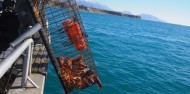 Fishing Trip - Kaikoura Fishing Tours image 6