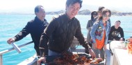 Fishing Trip - Kaikoura Fishing Tours image 5