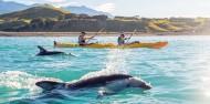 Kayaking - Kaikoura Kayaks image 1