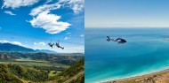 Ziplining & Whale Watching Heli Combo image 1