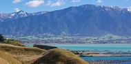 Kaikoura Day Tour & Whale Watching image 6