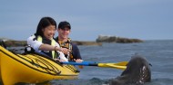 Kayaking - Kaikoura Kayaks image 6