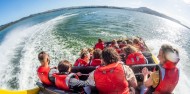 Jet boat - Katoa Lake Rotorua image 5