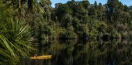 Kayaking - Franz Josef Wilderness Tours image 4