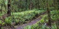 Kepler Track Guided Walk & Jet Boat image 5