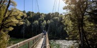 Kepler Track Guided Walk & Jet Boat image 4