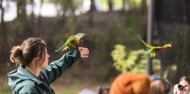 Wildlife Park - Kiwi Birdlife Park image 4