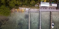 Kayaking & Hot Pools - Lake Rotoiti image 5