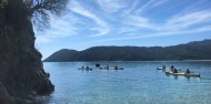 Kayaking - Private Guided Eco Tour image 9