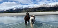 Horse Riding - Lighthorse Adventures image 2