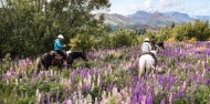 Dart River Wilderness Jet & Horse Riding Combo image 2