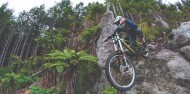 Mountain Biking - Redwood Forest image 1