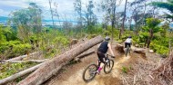 Mountain Biking - Redwood Forest image 2