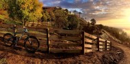 Mountain Biking - Redwood Forest image 3