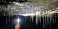 Waitomo Glow Worm Caves - Glowing Adventures image 2