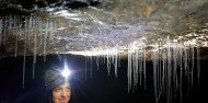 Waitomo Glow Worm Caves - Down To Earth image 2
