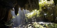 Waitomo Glow Worm Caves - Down To Earth image 4
