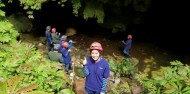 Waitomo Glow Worm Caves - Glowing Adventures image 8