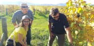 Full Day Wine Tour - Marlborough Wine Tours image 2