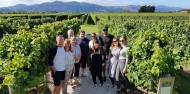 Half Day Afternoon Wine Tour - Marlborough Wine Tours image 2