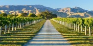 Full Day Wine Tour - Marlborough Wine Tours image 1