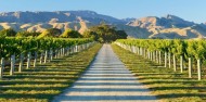 Half Day Morning Wine Tour - Marlborough Wine Tours image 3