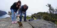 Lake Cruises - Mou Waho Island Cruise & Walk image 3