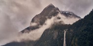 Milford Sound Nature Cruise - RealNZ image 8