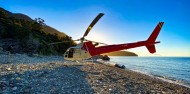Helicopter Flight - Milford Extended image 1