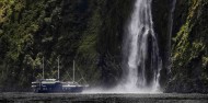 Milford Sound Nature Cruise - RealNZ image 4