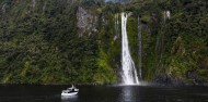 Milford Sound Business Class from Queenstown image 3