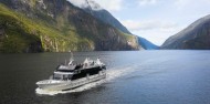 Milford Sound Nature Cruise - RealNZ image 6
