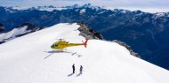 Helicopter Flight - Pure Fiordland from Glenorchy image 5
