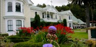 Napier Scenic Tours image 3