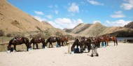 Horse Riding - Lake Shore Horse Trek image 2