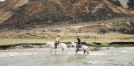 Horse Riding - Moke Valley Horse Trek image 2