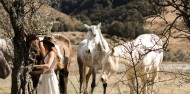 Horse Riding - Moke Valley Horse Trek image 5