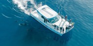 Motuara Island & Dolphin Watching Cruise - E-ko Tours image 1