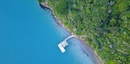 Motuara Island & Dolphin Watching Cruise - E-ko Tours image 12
