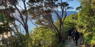 Motuara Island & Dolphin Watching Cruise - E-ko Tours image 3