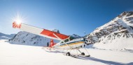 Scenic Flight - Glacier Highlights image 3