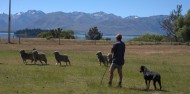 Mount Hay Farm Experience image 2