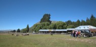 Mount Hay Farm Experience image 4