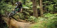 Mountain Biking - Redwood Forest image 4