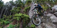 Mountain Biking - Mountain Bike Rotorua image 9