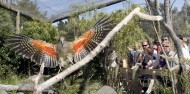 Wildlife Park - Orana Wildlife Park & Open Range Zoo image 6