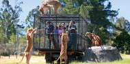 Wildlife Park - Orana Wildlife Park & Open Range Zoo image 8